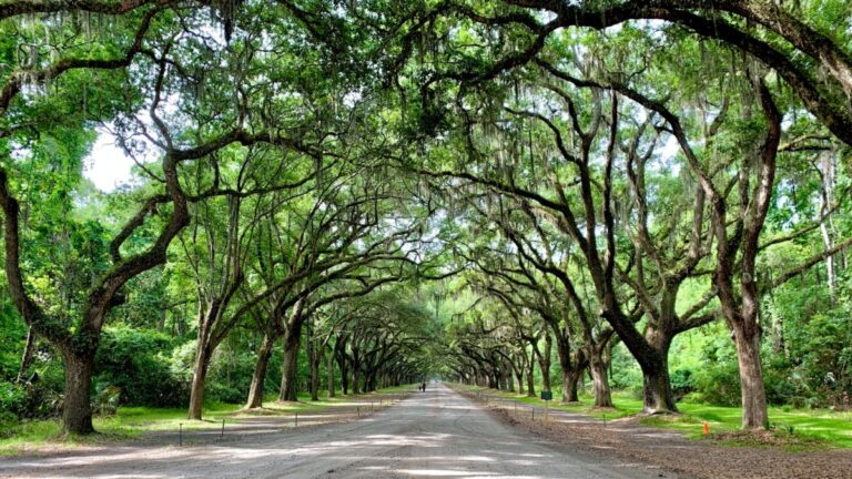 Savannah Georgia