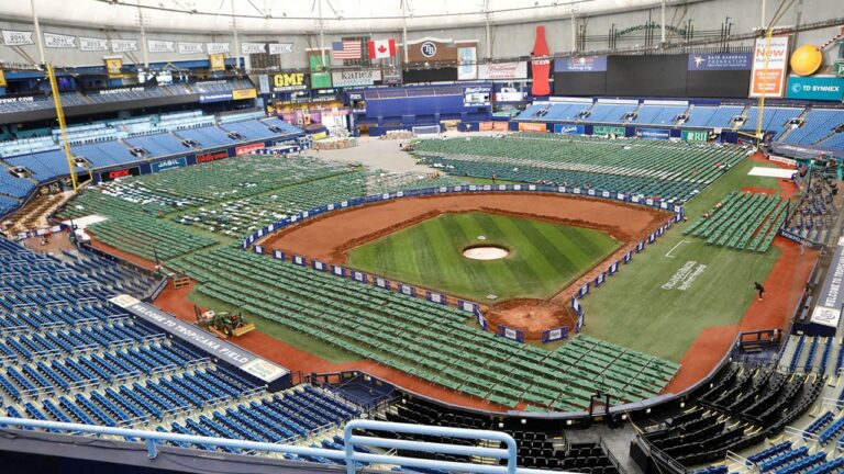 tropicana field2