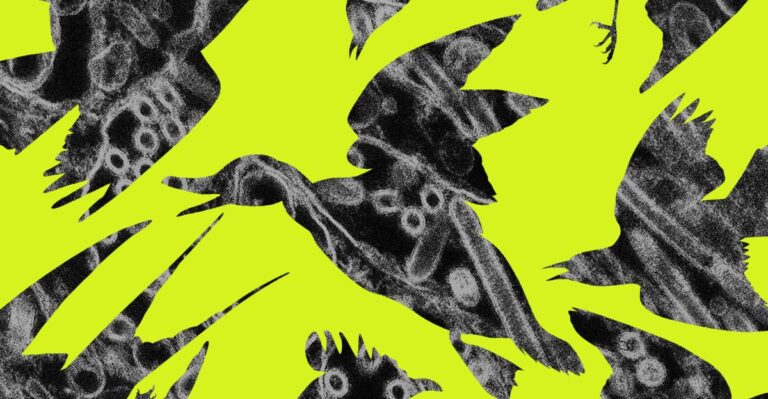 257591 Birdflu CVirginia D